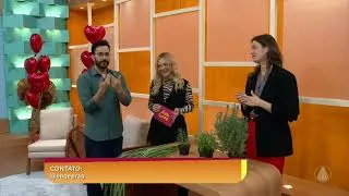 Reportagem: TV Aparecida Como se livrar das pragas urbanas dentro de casa